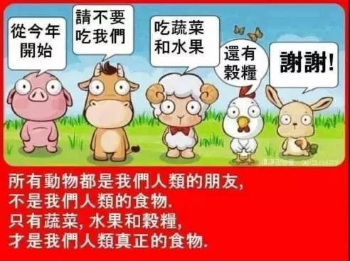 微信圖片_20190519212330.jpg