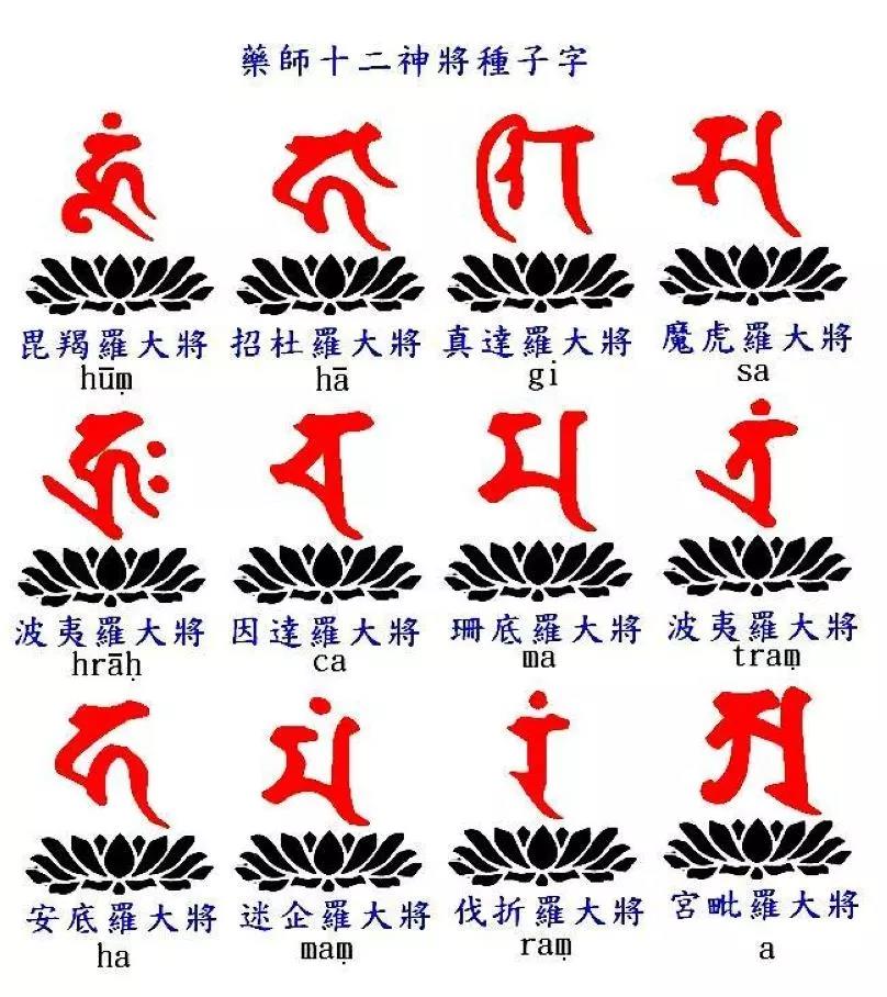 微信圖片_20190608134942.jpg